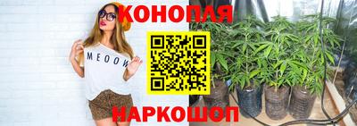 гашик Бузулук