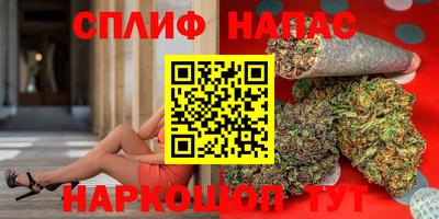 гашик Бузулук