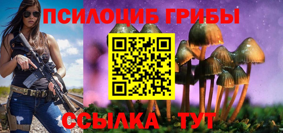 Галлюциногенные грибы GOLDEN TEACHER Северобайкальск
