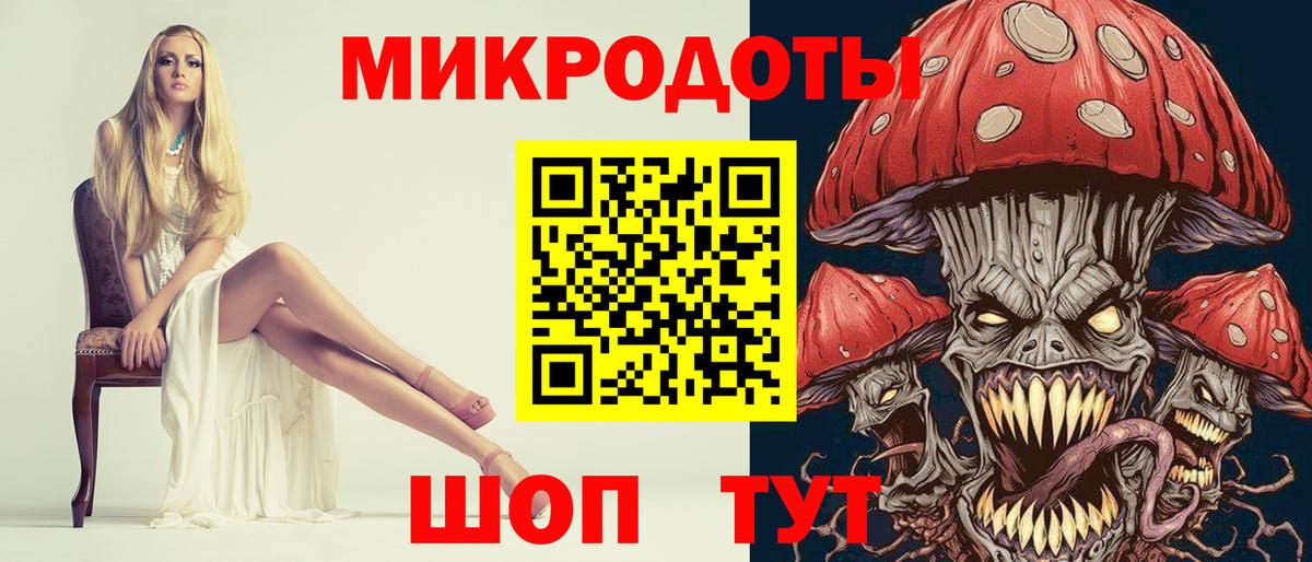 Псилоцибиновые грибы Psilocybe  Вход с VPN  Северобайкальск 